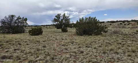3429 E Judy Dr, Williams, AZ 86046 photo 3