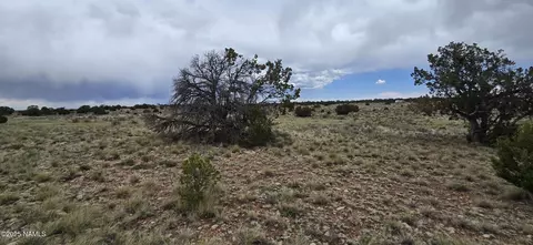 3429 E Judy Dr, Williams, AZ 86046 photo 6