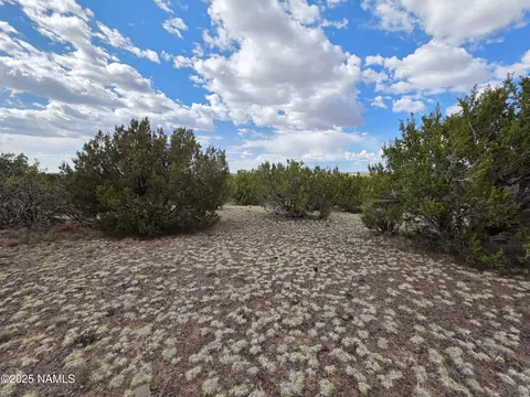 3978 Whitetail Loop, Williams, AZ 86046 photo 19