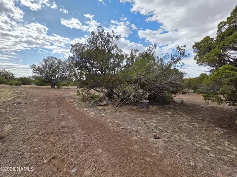 3978 Whitetail Loop, Williams, AZ 86046 photo 16