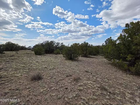 3978 Whitetail Loop, Williams, AZ 86046 photo 5