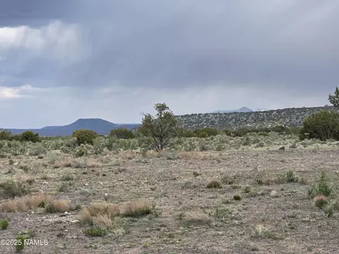 3978 Whitetail Loop, Williams, AZ 86046 photo 20