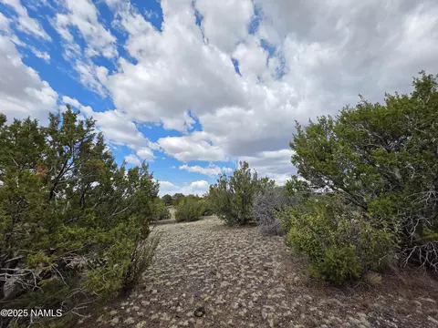 3978 Whitetail Loop, Williams, AZ 86046 photo 8