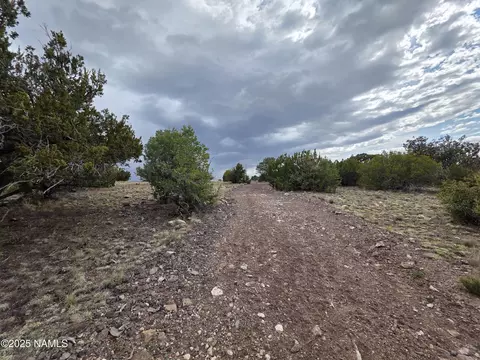 3978 Whitetail Loop, Williams, AZ 86046 photo 13