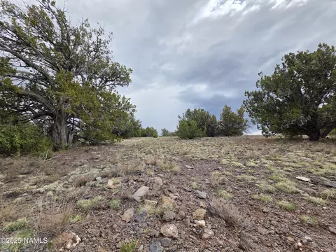 3978 Whitetail Loop, Williams, AZ 86046 photo 17