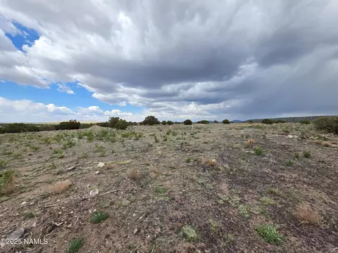 3978 Whitetail Loop, Williams, AZ 86046 photo 2