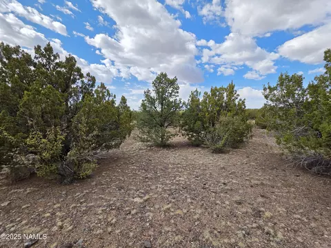3978 Whitetail Loop, Williams, AZ 86046 photo 3