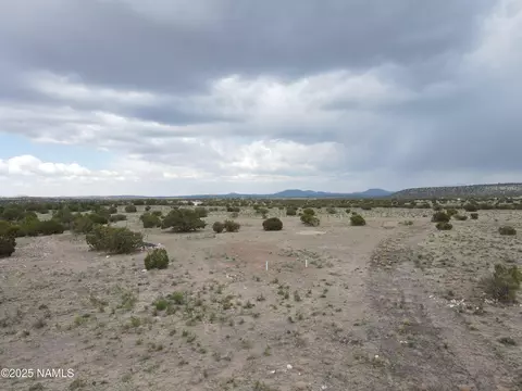 3978 Whitetail Loop, Williams, AZ 86046 photo 10
