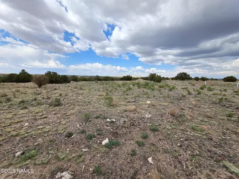 3978 Whitetail Loop, Williams, AZ 86046 photo 11