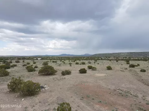 3978 Whitetail Loop, Williams, AZ 86046 photo 9