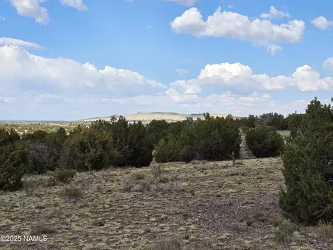 3978 Whitetail Loop, Williams, AZ 86046 photo 21