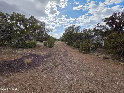 3978 Whitetail Loop, Williams, AZ 86046 photo 4