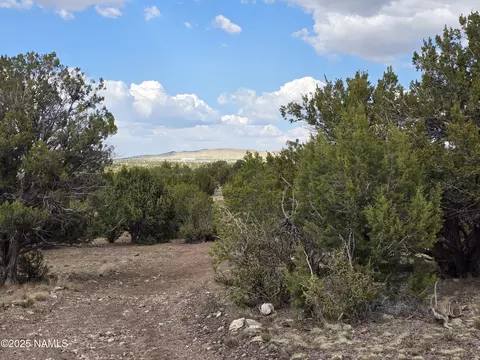 3978 Whitetail Loop, Williams, AZ 86046 photo 15