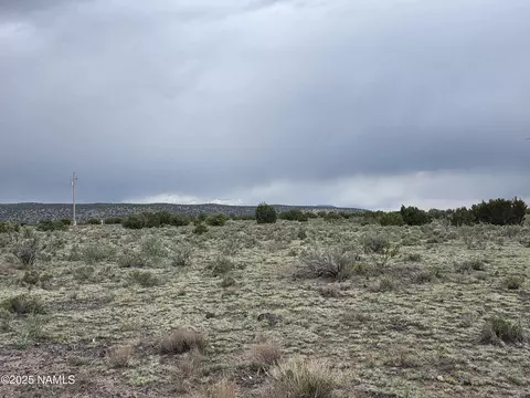 3978 Whitetail Loop, Williams, AZ 86046 photo 12