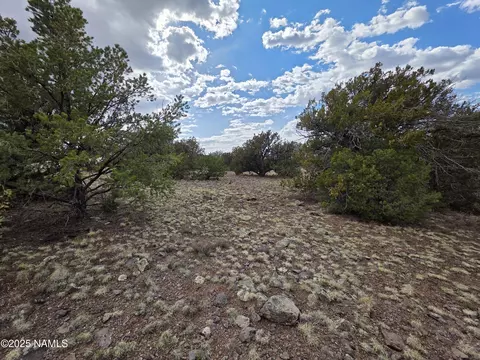 3978 Whitetail Loop, Williams, AZ 86046