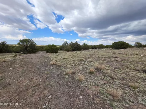 3978 Whitetail Loop, Williams, AZ 86046 photo 6