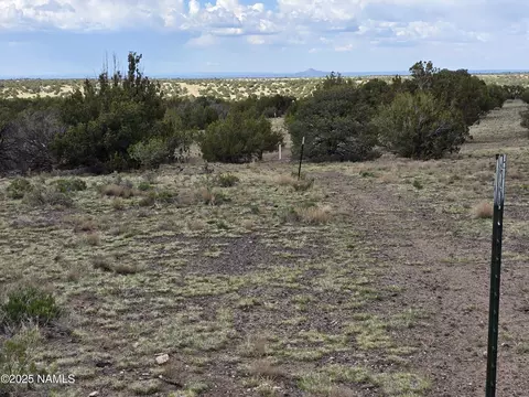 3978 Whitetail Loop, Williams, AZ 86046 photo 22