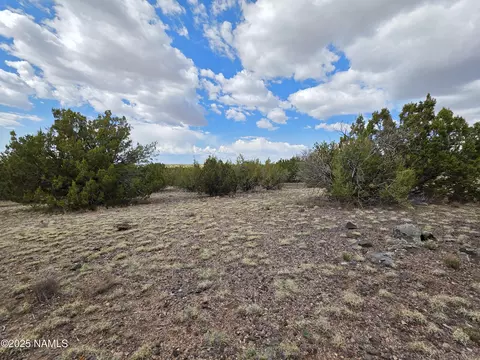 3978 Whitetail Loop, Williams, AZ 86046 photo 18