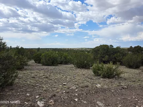 3978 Whitetail Loop, Williams, AZ 86046 photo 14