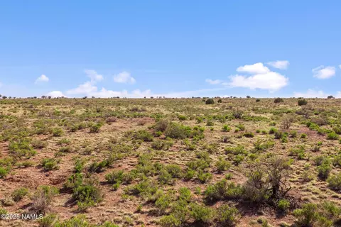 1118 E Vernon Rd, Williams, AZ 86046 photo 10
