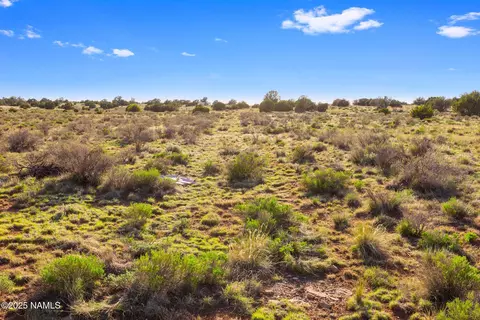 591 S Palmetto Rd, Williams, AZ 86046