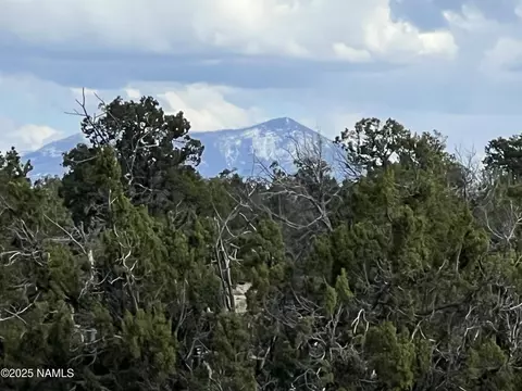 9558 Bird Dog Cir, Williams, AZ 86046