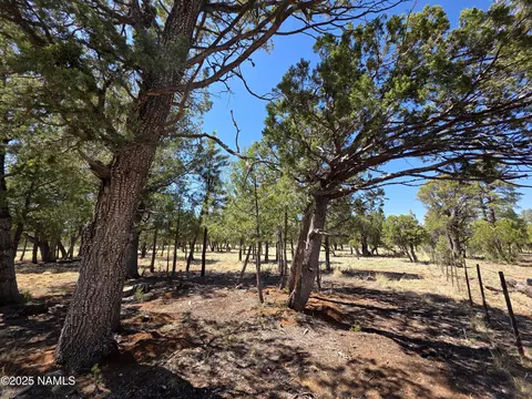 3874 Durango Dr, Happy Jack, AZ 86024