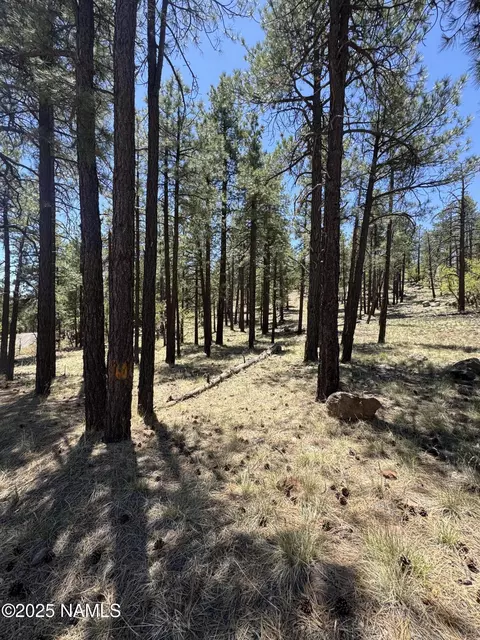 1575 Pine Meadow Dr, Williams, AZ 86046