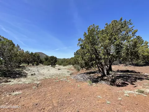 2277 E Starry Night Way, Williams, AZ 86046 photo 37