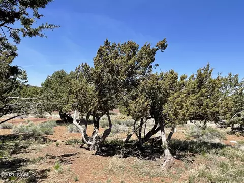 2277 E Starry Night Way, Williams, AZ 86046 photo 44