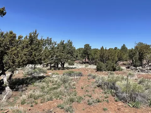 2277 E Starry Night Way, Williams, AZ 86046 photo 43
