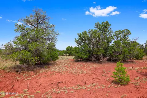 8449 E Water Tank Cir #A, Williams, AZ 86046