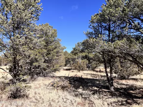 7277 Daisy Dr, Williams, AZ 86046 photo 25