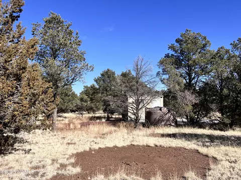 7277 Daisy Dr, Williams, AZ 86046 photo 15