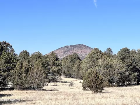 7277 Daisy Dr, Williams, AZ 86046 photo 8