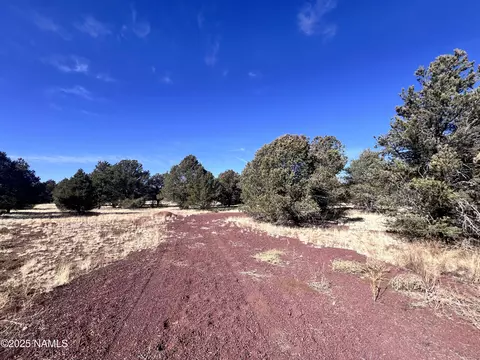 7277 Daisy Dr, Williams, AZ 86046 photo 13