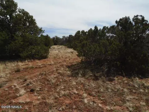 4089 E Oakdale Rd, Williams, AZ 86046