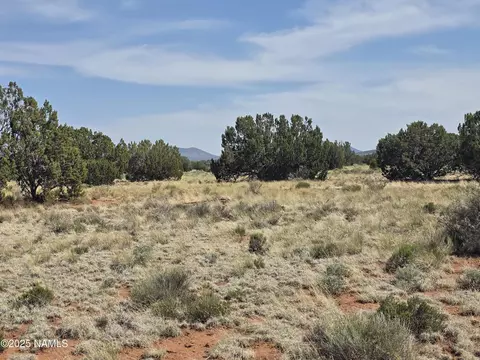 3435 E Valencia Rd, Williams, AZ 86046 photo 8