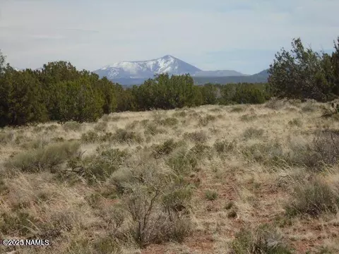 3435 E Valencia Rd, Williams, AZ 86046