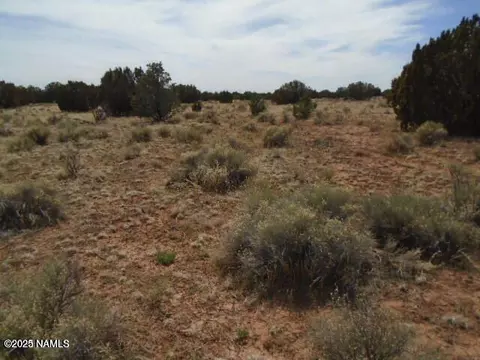 3435 E Valencia Rd, Williams, AZ 86046 photo 12