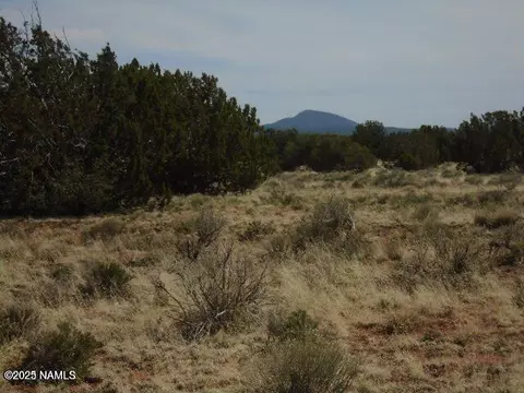 3435 E Valencia Rd, Williams, AZ 86046 photo 6