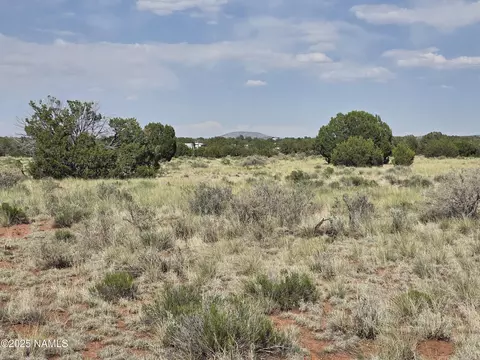 3435 E Valencia Rd, Williams, AZ 86046 photo 9