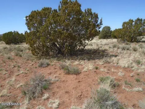 3435 E Valencia Rd, Williams, AZ 86046 photo 11