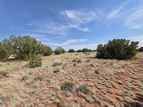 3435 E Valencia Rd, Williams, AZ 86046 photo 10