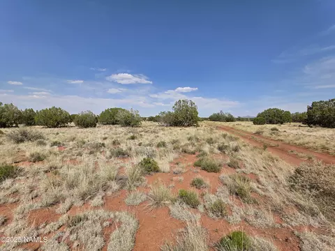 3435 E Valencia Rd, Williams, AZ 86046 photo 4