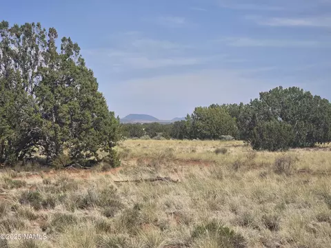 3435 E Valencia Rd, Williams, AZ 86046 photo 5