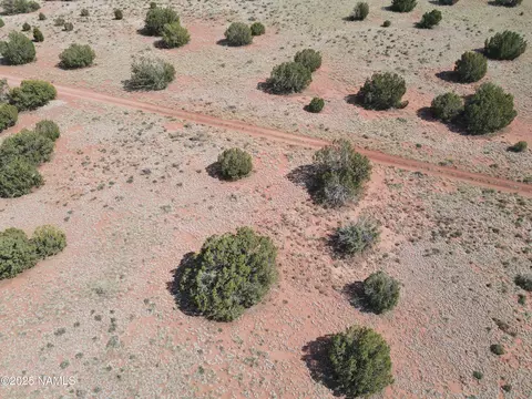3435 E Valencia Rd, Williams, AZ 86046 photo 16