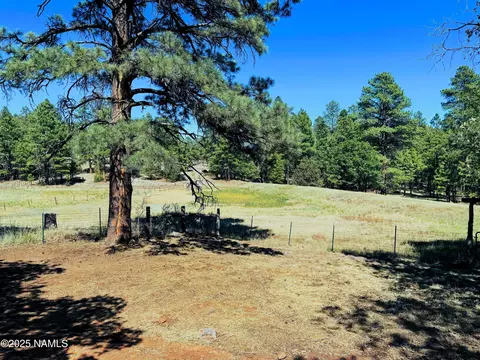Other - 99 N Scenic Loop Trl, Williams, AZ 86046 photo 11 of 12