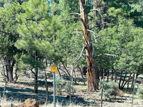 Exterior - 99 N Scenic Loop Trl, Williams, AZ 86046 photo 5 of 5