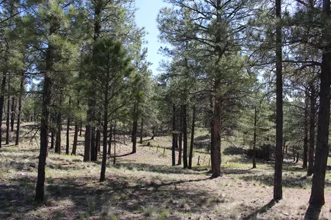 2980 S Solitaires Canyon Dr #349, Flagstaff, AZ 86005